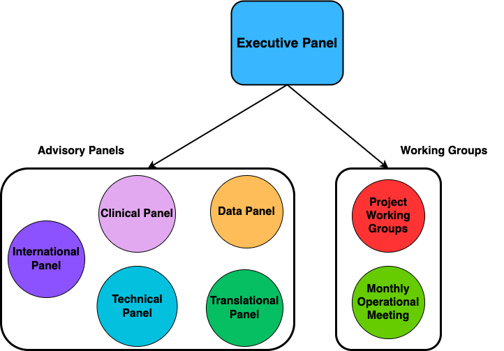 Governance Structure